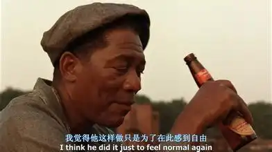 肖申克的救赎有些鸟是注定关不住的,他的心永远自由
