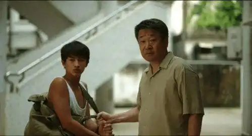 追剧也普法爬山拍照隐秘的角落里有哪些法律梗