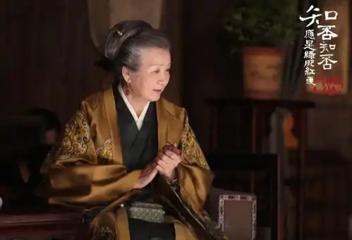 知否知否盛老太太为何不待见林小娘原来两人还有这层关系
