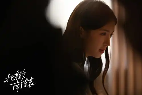 金晨霸占荧屏影视综艺商务齐开花