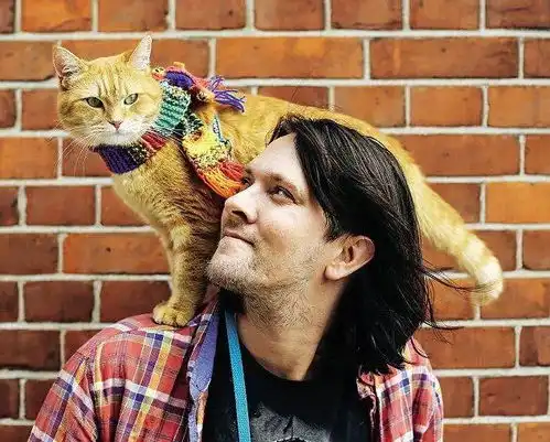 治愈千万人的流浪猫鲍勃去世,一猫一人相互救赎的故事,迪士尼都想买版权