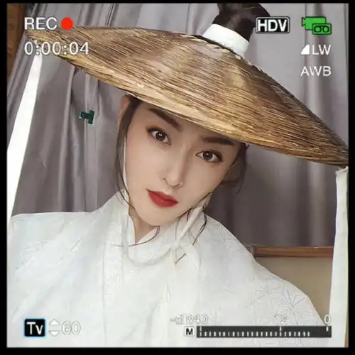 张天爱雪中悍刀行收官落笔绘江湖南宫仆射曾来过