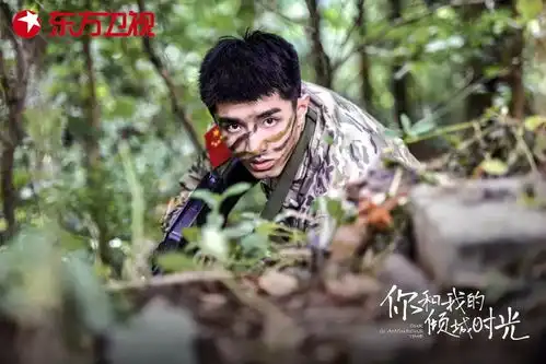 你们又中了兵哥哥的毒
