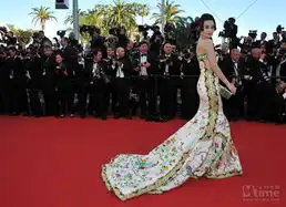 范冰冰中国瓷亮相戛纳不雅露腋毛被嘲讽