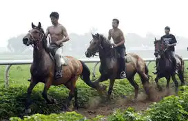 让子弹飞官方剧照