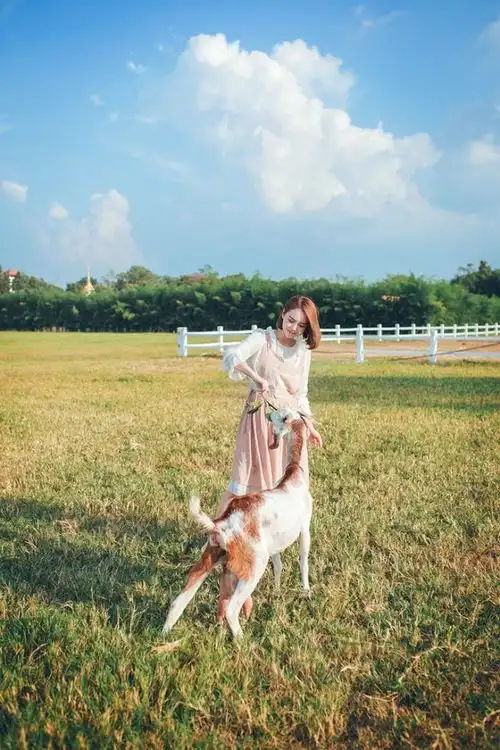 窈窕淑女,寤寐求之
