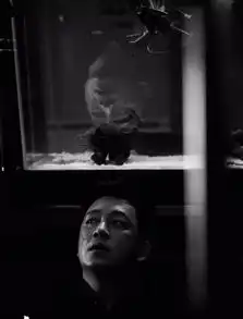 不懂推理套路,看一百遍白夜追凶也白费