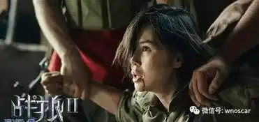 战狼2未播先火,官方评估8亿保底,却因这个原因或禁播
