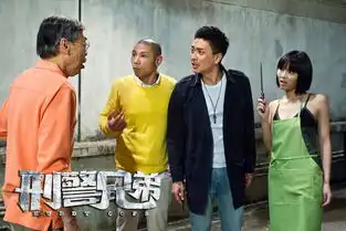 刑警兄弟口碑网友太喜欢烂兄贱弟
