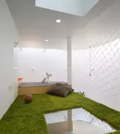 只为一米阳光青山周平魔幻改造奇葩房型