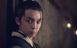 吴磊琅琊榜飞流