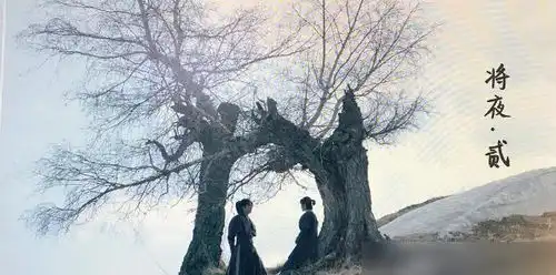 司藤播出后,剧中实景拍摄获网友一致好评