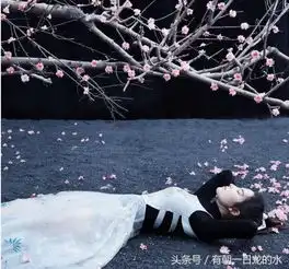刘亦菲最美花木兰剧照流出,美若天仙,网友小龙女又回来了
