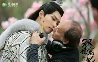 双世宠妃1剧照真传