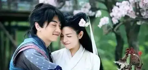 儿媳妇和女婿的区别,很多人看完都沉默了
