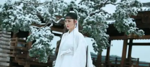 雪中悍刀行2将开拍,女主换人意料之中,导演才是那个大坑