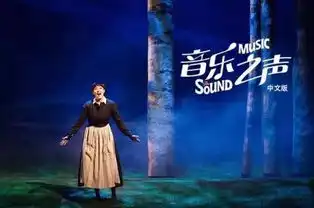 没有朱莉和成方圆的音乐之声,凭她俘获了上校和观众的心
