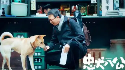 中华田园犬成电影男主忠犬八公定档,冯小刚陈冲催泪治愈
