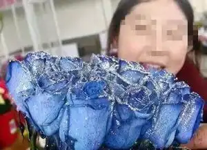 情人节染色玫瑰可怕和染色翡翠一比却弱爆了
