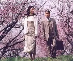 林心如包揽片头片尾曲半生缘美得出奇
