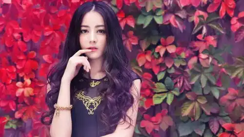 珍爱发际线,远离张叔平热巴烈火如歌看得头皮疼颜值master