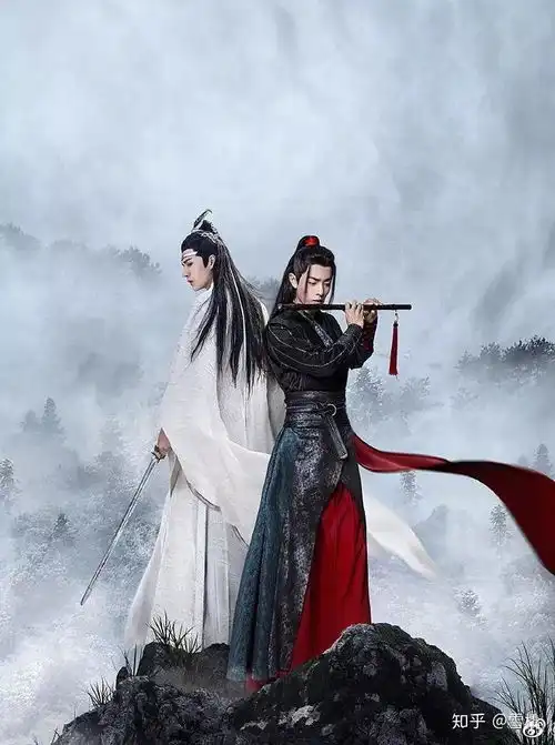 不负苍生,不负魏婴
