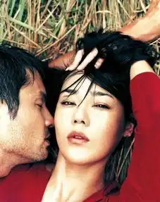 盘点韩国18禁电影,那些极致诱惑海报,抵挡不住的魅力
