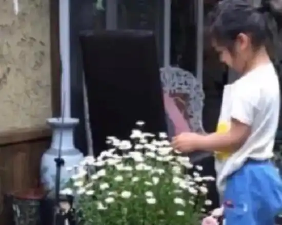 汤唯混血女儿照片罕见曝光,圆嘟嘟的侧脸像极了妈妈,十分可爱