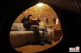 2010年度网络最受关注图片