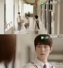 夏至未至结局很悲立夏回家嫁人傅小司陆之昂被判无期徒刑