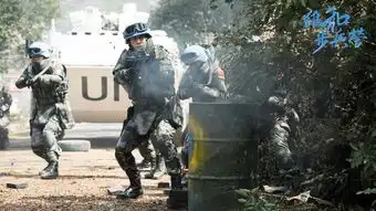 维和步兵营剧照
