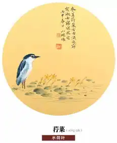 有趣才有诗意,眼界就是远方