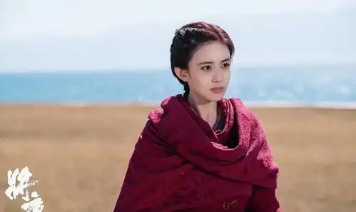 只因一期综艺,让陈情令将夜中最受欢迎的她没火起来