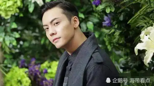 南方有乔木秦海璐给陈伟霆盖章
