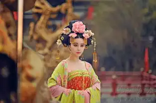 武媚娘传奇热播武媚娘开启腹黑路线
