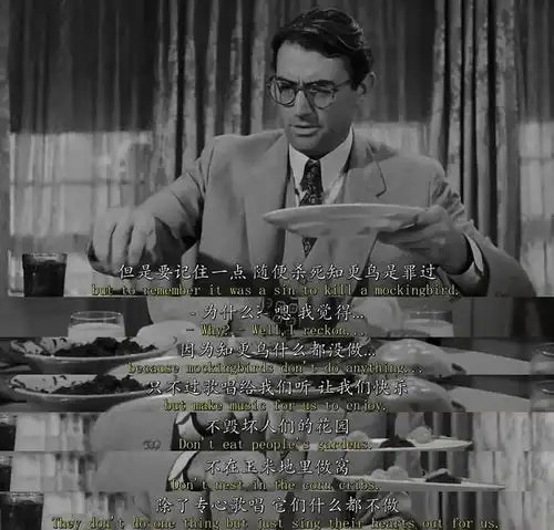 哈珀李观察到的种族主义
