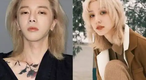 华晨宇的女友王悦伊,是苍兰诀的演员,在宣传的时候没带上她