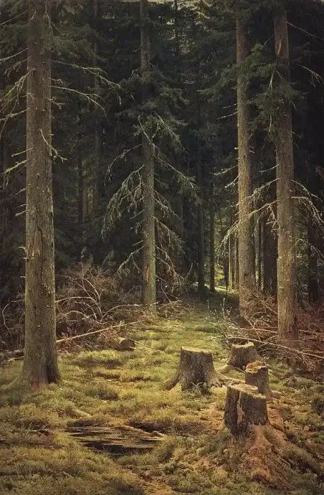 你知道世界上最安静的地方在哪里吗其实在他的画里
