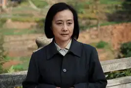 山楂树之恋
