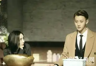 电视剧谈判官剧情讲的什么内容谈判官剧情简介
