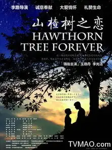 山楂树之恋剧情介绍
