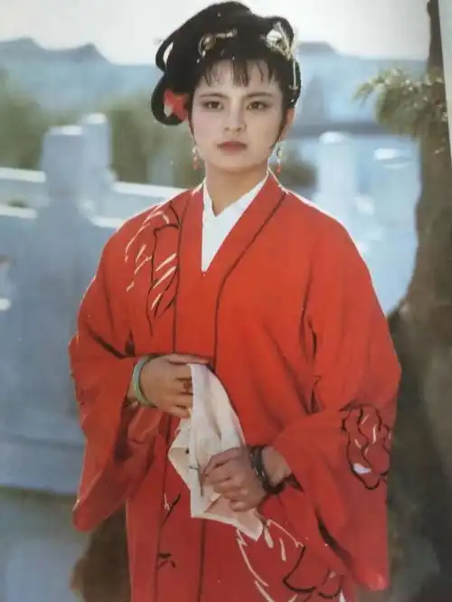 红楼梦里庶出身份对贾探春的婚姻有哪些影响
