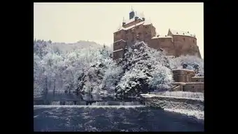 布达佩斯大酒店色彩浓烈的油画
