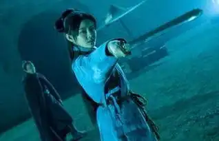 剑雨2010年苏照彬执导古装武侠片
