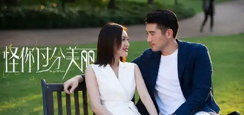 秦岚怪你过分美丽将播,高以翔化身痴情律师,都市剧情超甜
