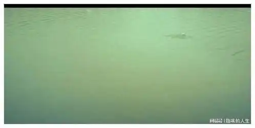 电影八角囚笼中,中国版肖申克的救赎
