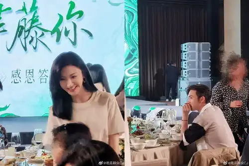 放肆藤你婚宴景甜张彬彬合体现身司藤庆功宴