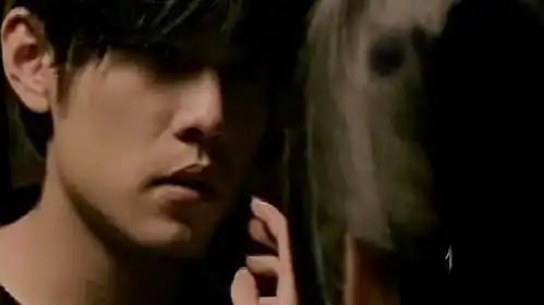 枫可惜你不听枫,更不会知道枫的最后一句歌词周杰伦枫
