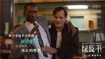 点映9.4分奥斯卡最佳影片绿皮书曝光金句组图
