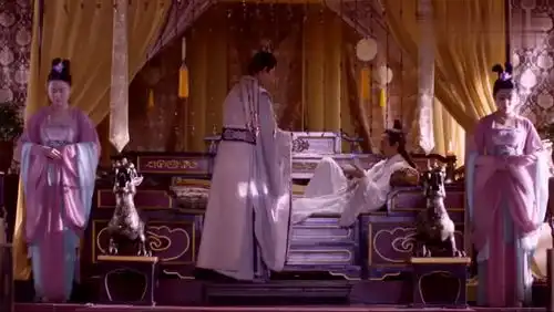 大唐荣耀2陛下听到这个消息,情绪有些失控